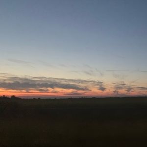 Meet your Posher, Isabella